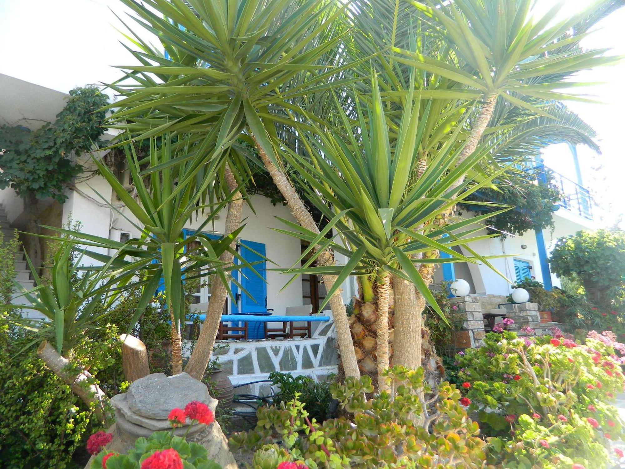 Ioanna Apartments Agios Prokopios  Bagian luar foto