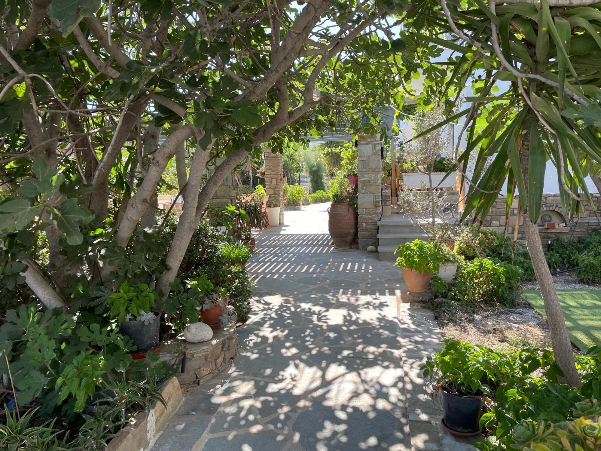 Ioanna Apartments Agios Prokopios  Bagian luar foto