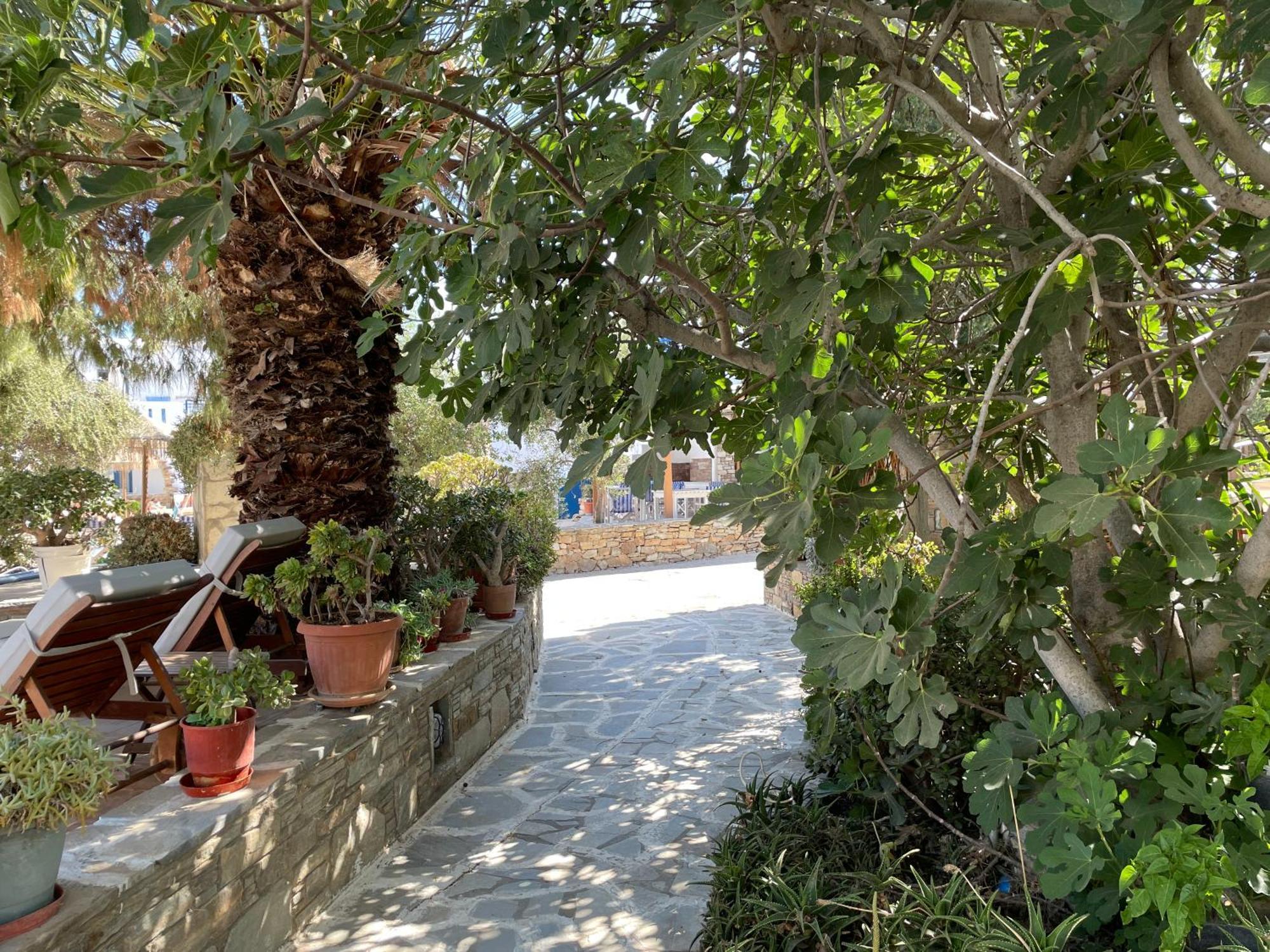 Ioanna Apartments Agios Prokopios  Bagian luar foto